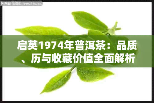 启英1974年普洱茶：品质、历与收藏价值全面解析