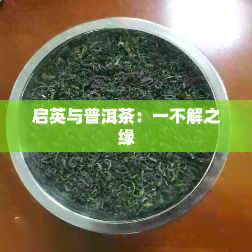 启英与普洱茶：一不解之缘