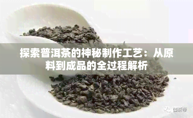 探索普洱茶的神秘制作工艺：从原料到成品的全过程解析