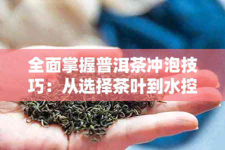 全面掌握普洱茶冲泡技巧：从选择茶叶到水控制，让你品尝到的味道！