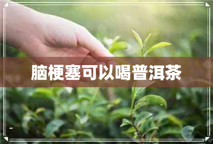 脑梗塞可以喝普洱茶