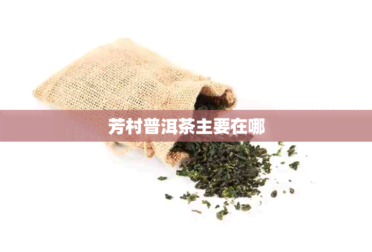 芳村普洱茶主要在哪