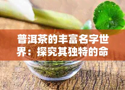 普洱茶的丰富名字世界：探究其独特的命名艺术与文化含义