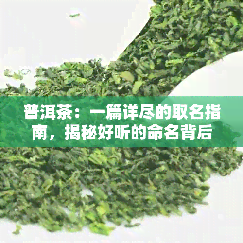 普洱茶：一篇详尽的取名指南，揭秘好听的命名背后的故事与文化