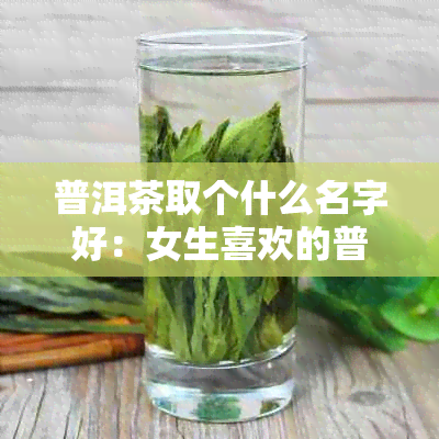 普洱茶取个什么名字好：女生喜欢的普洱茶名推荐