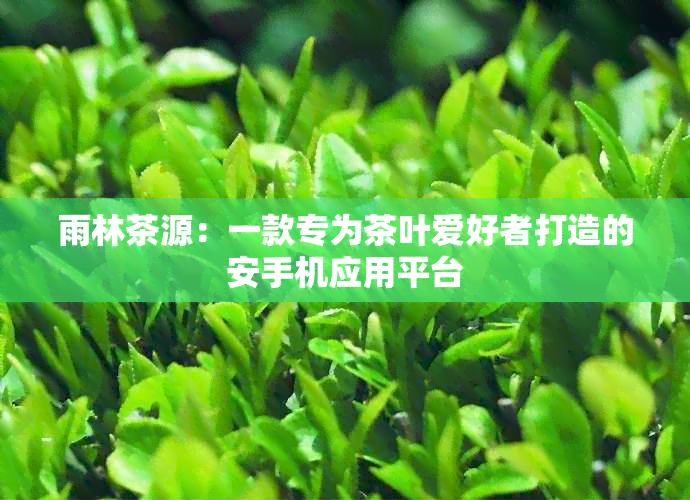 雨林茶源：一款专为茶叶爱好者打造的安手机应用平台