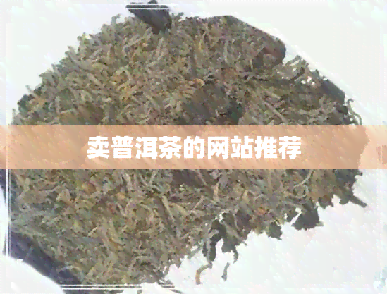 卖普洱茶的网站推荐