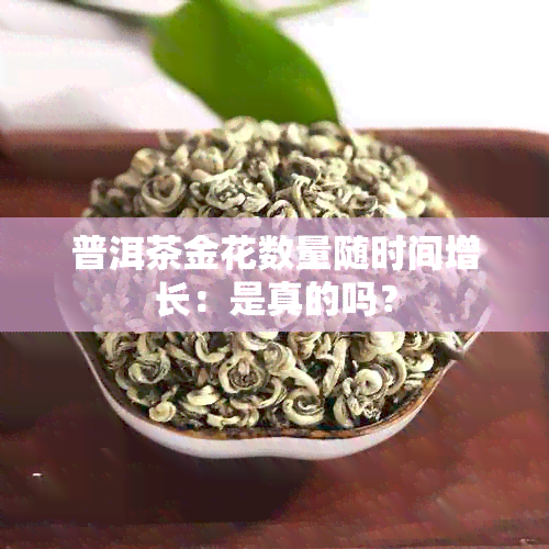 普洱茶金花数量随时间增长：是真的吗？