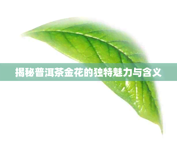 揭秘普洱茶金花的独特魅力与含义