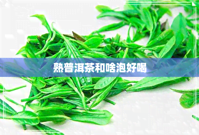 熟普洱茶和啥泡好喝