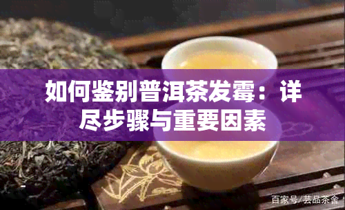 如何鉴别普洱茶发霉：详尽步骤与重要因素