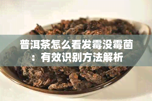 普洱茶怎么看发霉没霉菌：有效识别方法解析