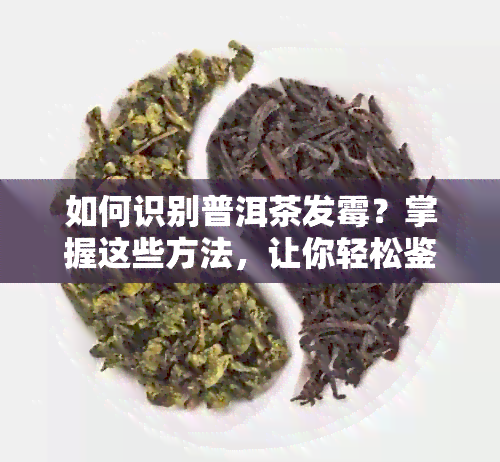 如何识别普洱茶发霉？掌握这些方法，让你轻松鉴别普洱茶的品质！