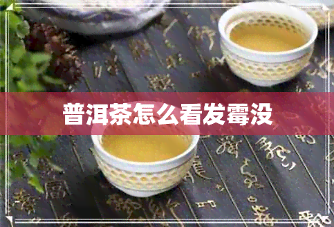 普洱茶怎么看发霉没