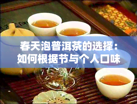 春天泡普洱茶的选择：如何根据节与个人口味搭配？