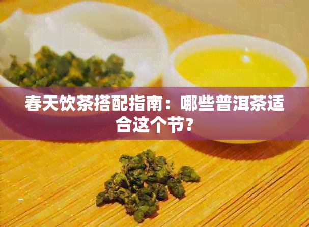 春天饮茶搭配指南：哪些普洱茶适合这个节？