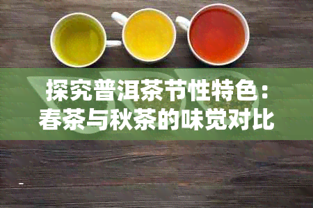 探究普洱茶节性特色：春茶与秋茶的味觉对比