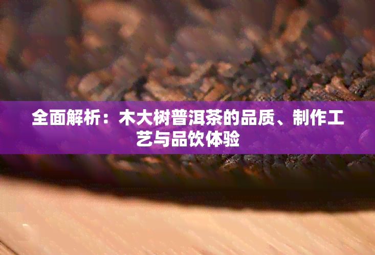 全面解析：木大树普洱茶的品质、制作工艺与品饮体验