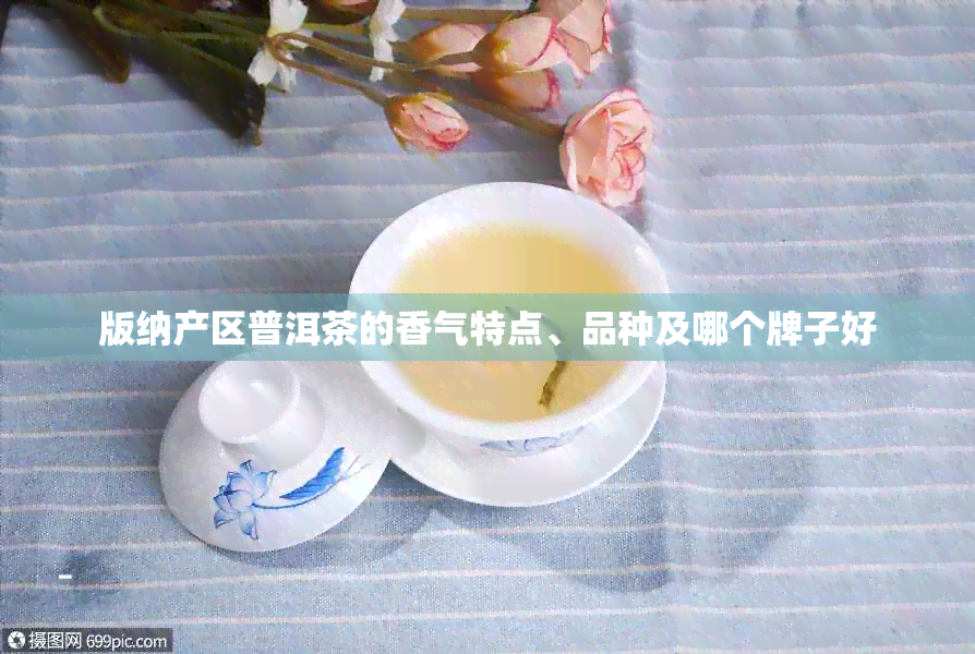 版纳产区普洱茶的香气特点、品种及哪个牌子好