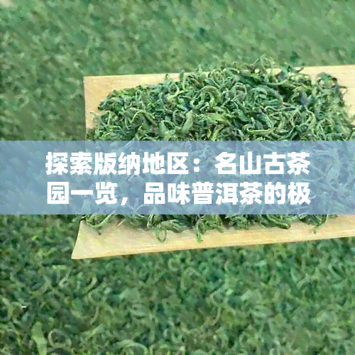 探索版纳地区：名山古茶园一览，品味普洱茶的极致魅力