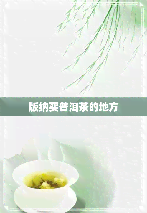 版纳买普洱茶的地方