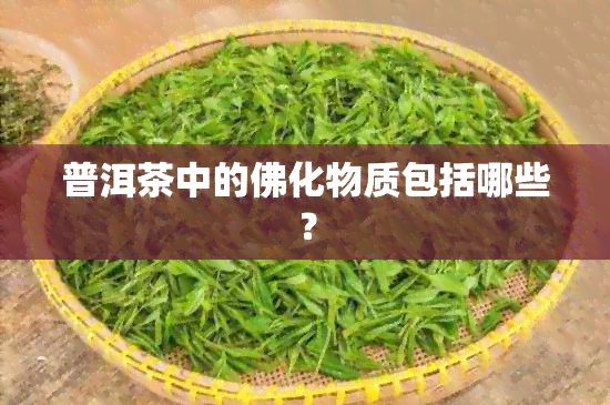 普洱茶中的佛化物质包括哪些？