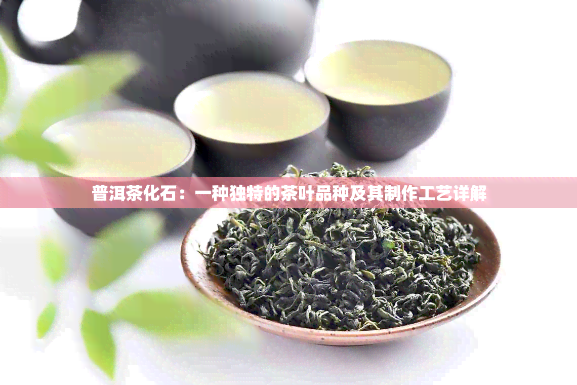 普洱茶化石：一种独特的茶叶品种及其制作工艺详解