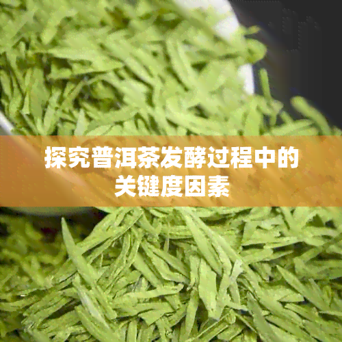 探究普洱茶发酵过程中的关键度因素