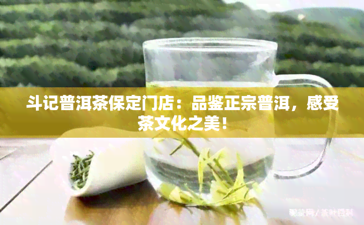 斗记普洱茶保定门店：品鉴正宗普洱，感受茶文化之美！