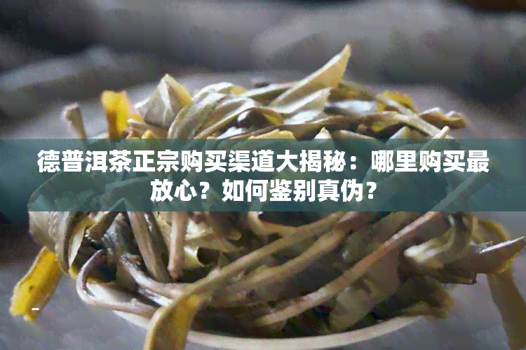 德普洱茶正宗购买渠道大揭秘：哪里购买最放心？如何鉴别真伪？