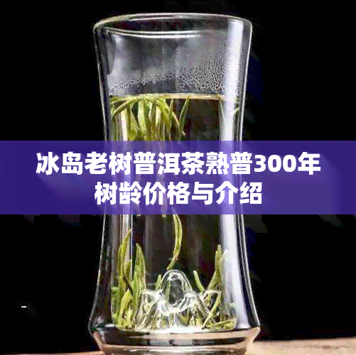 冰岛老树普洱茶熟普300年树龄价格与介绍