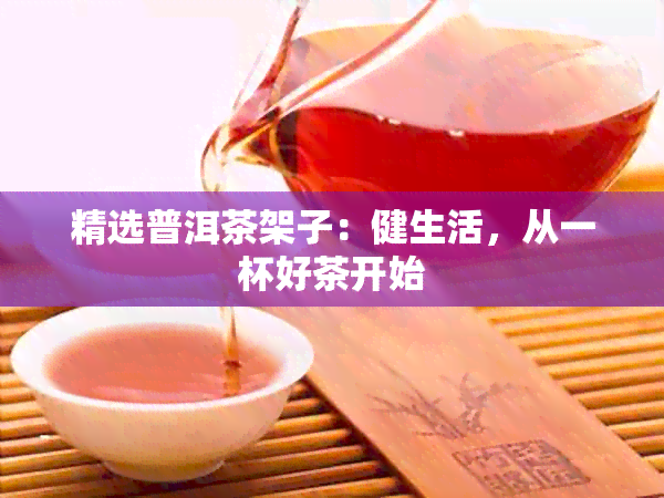 精选普洱茶架子：健生活，从一杯好茶开始