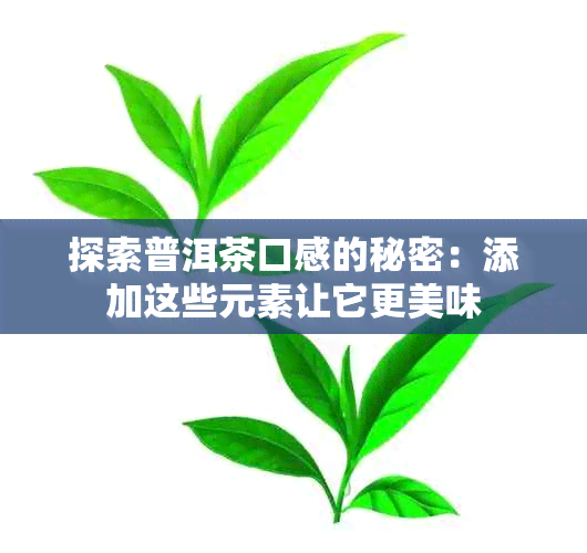 探索普洱茶口感的秘密：添加这些元素让它更美味