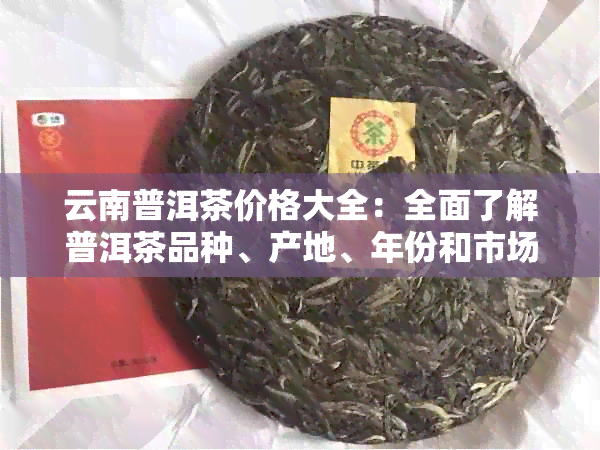 云南普洱茶价格大全：全面了解普洱茶品种、产地、年份和市场行情