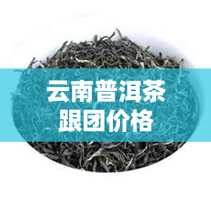 云南普洱茶跟团价格