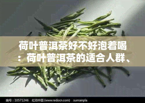 荷叶普洱茶好不好泡着喝：荷叶普洱茶的适合人群、功效及泡法详解