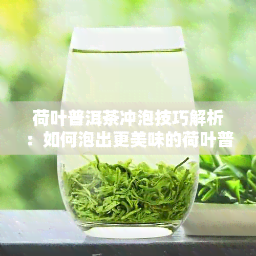 荷叶普洱茶冲泡技巧解析：如何泡出更美味的荷叶普洱茶？