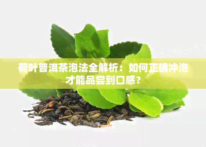 荷叶普洱茶泡法全解析：如何正确冲泡才能品尝到口感？