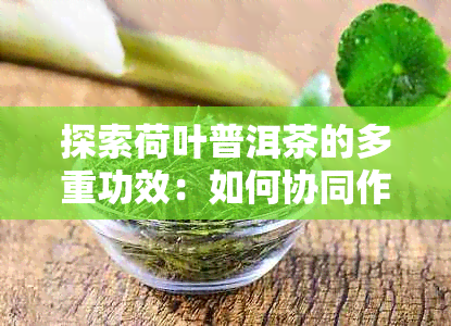 探索荷叶普洱茶的多重功效：如何协同作用于健生活？