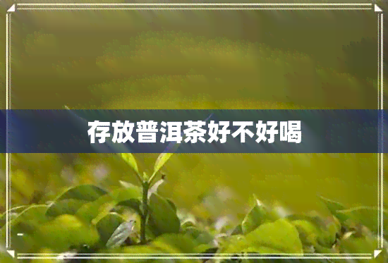 存放普洱茶好不好喝