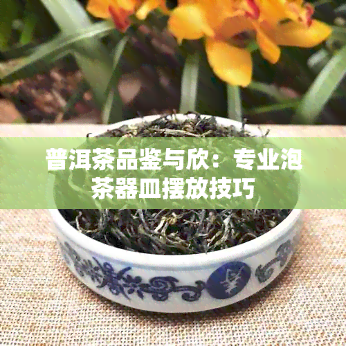 普洱茶品鉴与欣：专业泡茶器皿摆放技巧