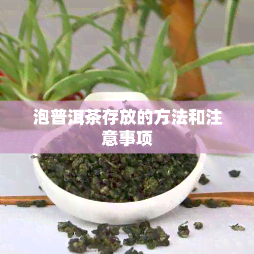 泡普洱茶存放的方法和注意事项