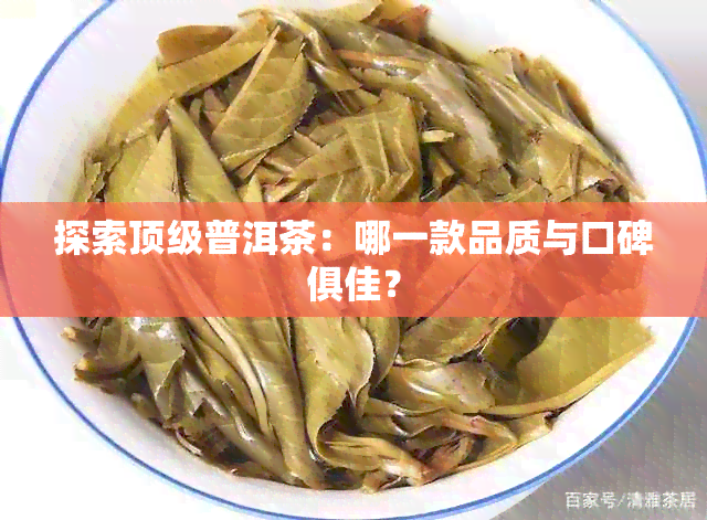 探索顶级普洱茶：哪一款品质与口碑俱佳？