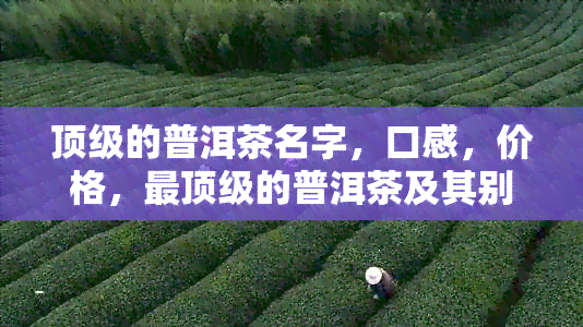 顶级的普洱茶名字，口感，价格，最顶级的普洱茶及其别名是什么？