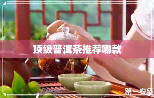 顶级普洱茶推荐哪款