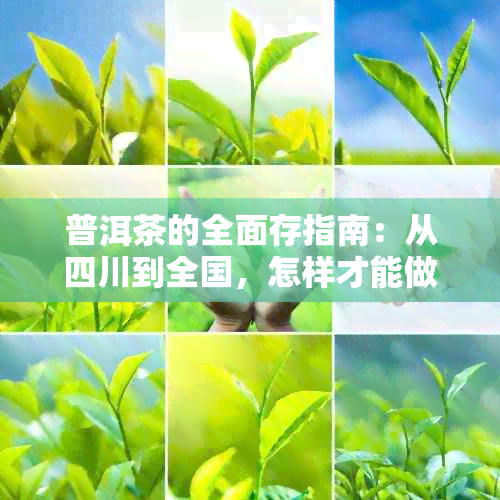 普洱茶的全面存指南：从四川到全国，怎样才能做到最正确的保存方法？