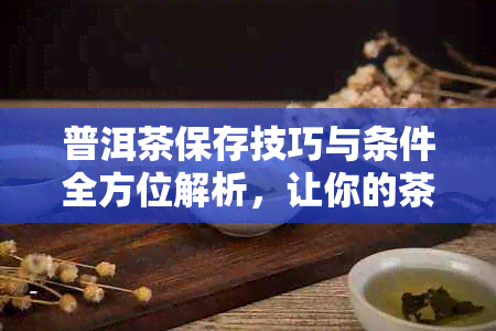 普洱茶保存技巧与条件全方位解析，让你的茶叶长久保持口感