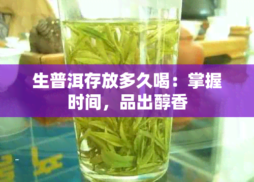 生普洱存放多久喝：掌握时间，品出醇香