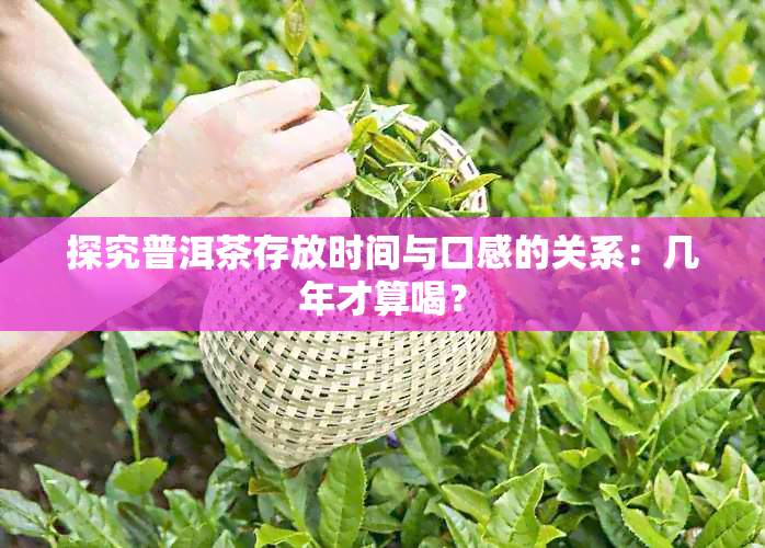 探究普洱茶存放时间与口感的关系：几年才算喝？