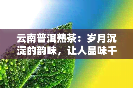 云南普洱熟茶：岁月沉淀的韵味，让人品味千年的独特文化